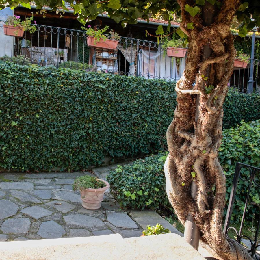 B&B Villa Moro - Family House โดโมดอสโซลา ภายนอก รูปภาพ