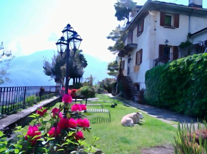 B&B Villa Moro - Family House โดโมดอสโซลา ภายนอก รูปภาพ